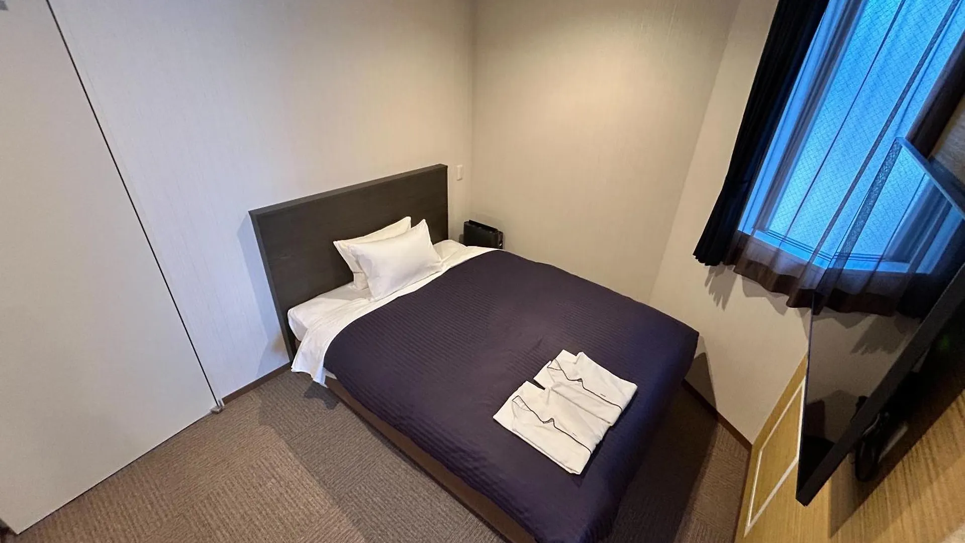 ***  Hotel Livemax Mita Ekimae Tokyo Japan
